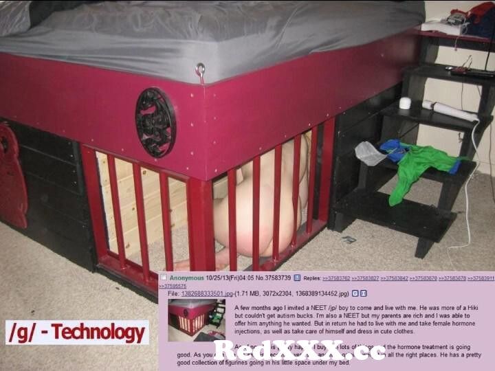 Bdsm Cage Under Bed