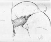 #sex #anal #bigass #sexy #art #drawing #kinky #bigdick #pawg from best anal dpw xxx com sa sexy