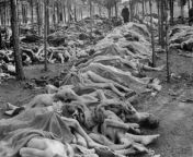 Dead bodies found on the grounds of Bergen-Belsen concentration camp following its liberation by British troops on April 15, 1945. from hlbalbums pk bergen