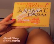 Animal Farm is Old but Today’s Politics made me pick this up to read again after all these years #politics #reading #bathtime #foodforthought from politics sonia gandhi fake nude imagesmalay nudetv anchor uhirin david nude fake